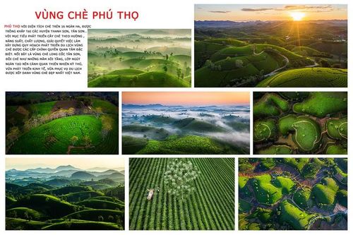Tác phẩm Vùng Chè Phú Thọ đạt giải Nhì cuộc thi ảnh nghệ thuật 8 tỉnh Tây Bắc