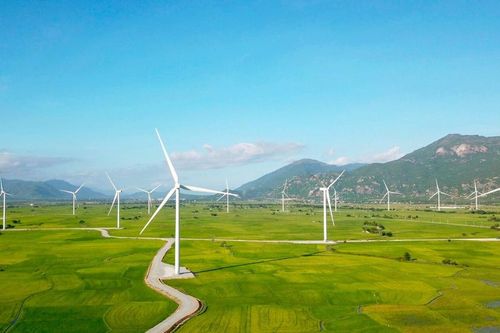 T&T Group và Total hợp tác phát triển mới 2.000 MW năng lượng tái tạo