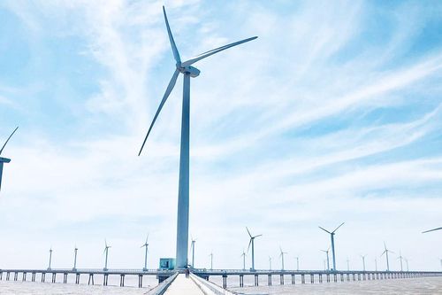 Việt Nam hội đủ điều kiện để phát triển chuỗi cung ứng điện gió ngoài khơi bền vững