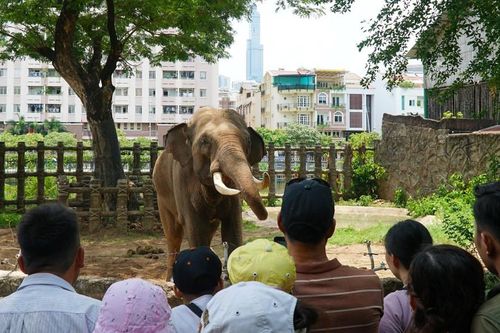 Thành phố Hồ Chí Minh mở cửa nhiều điểm tham quan, du lịch