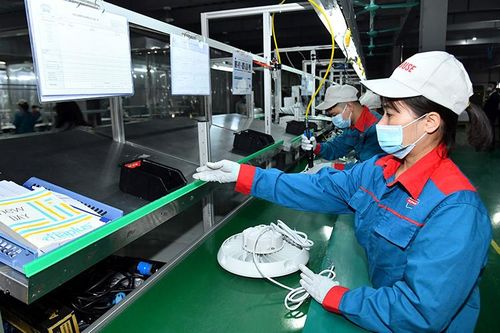 Nhanh chóng khôi phục sản xuất