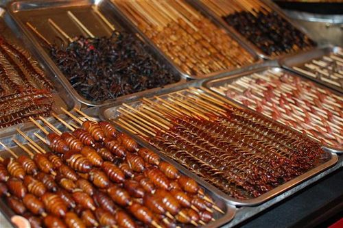 Kinh dị món rết nướng, đặc sản Trung Quốc