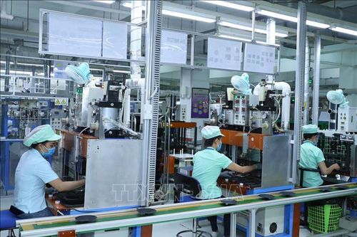 Một số địa phương chậm ban hành hướng dẫn phòng dịch nên khó khăn trong phục hồi sản xuất