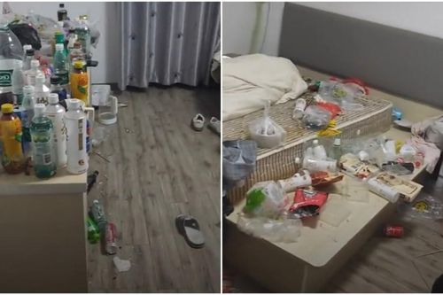 Thấy cô gái trẻ thuê phòng nhưng không ra ngoài, chủ nhà ghé thăm và sững người với cảnh tượng trước mắt