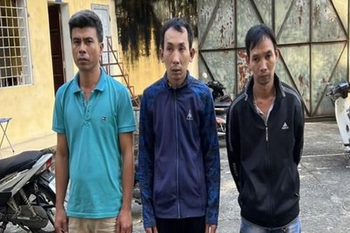 Mua phải lan 'đểu' giá 68 triệu đồng, nhóm côn đồ bức ép người bán lan đền 400 triệu đồng