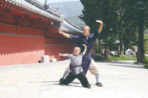 Chú tiểu ở Thiếu Lâm Tự đi đường quyền cực đỉnh!