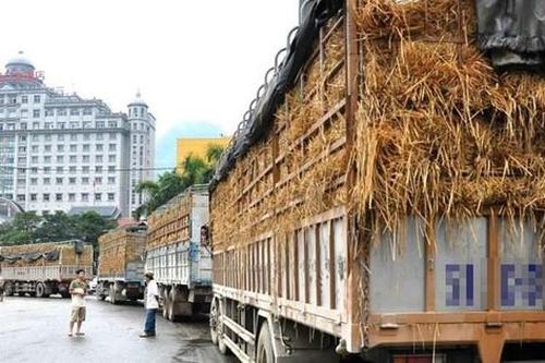 Xuất khẩu thực phẩm vào Trung Quốc trước giờ G: Doanh nghiệp Việt đã sẵn sàng?