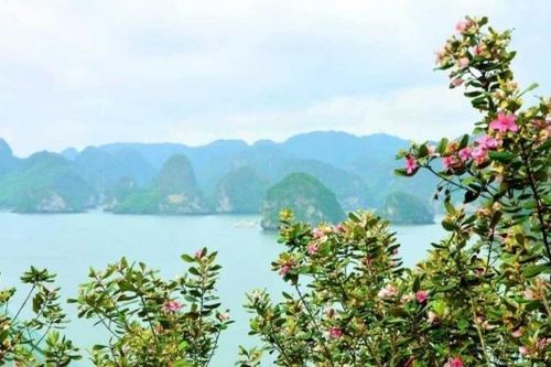 Trải nghiệm đảo Soi Sim