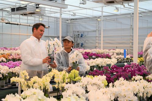 Hậu ở ẩn, tỷ phú Jack Ma chuyển từ thương mại điện tử sang trồng trọt?