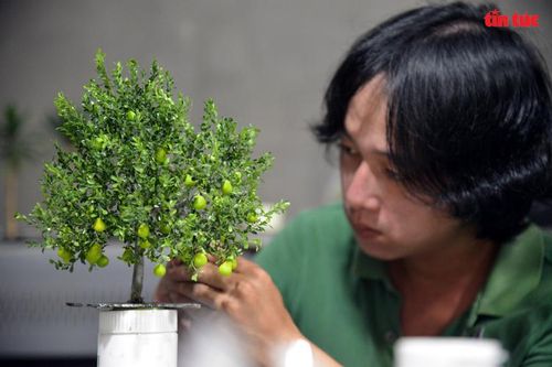 Độc đáo khu vườn cây giả như thật của anh phụ hồ