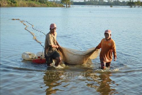 'Lộc trời' mùa nước nổi