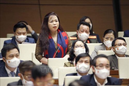 Đề xuất kiên trì chính sách khoan sức dân, nuôi dưỡng nguồn thu