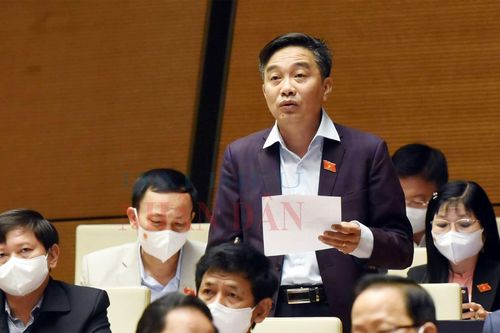ĐBQH Nguyễn Minh Sơn (Tiền Giang): Tăng cường liên kết vùng để phát triển