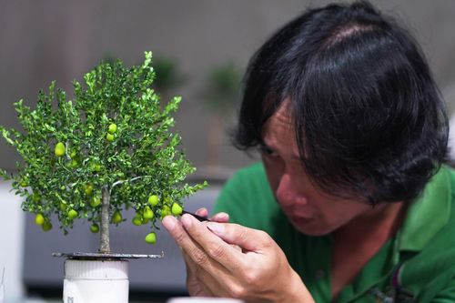 Ngỡ ngàng vườn cây tí hon như thật của anh phụ hồ ở TP.HCM