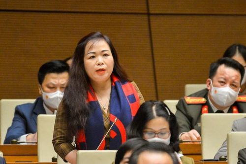 Đại biểu Quốc hội trăn trở về khoảng cách giàu nghèo tăng trong đại dịch