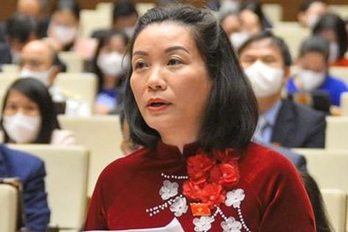 Nữ ĐBQH xúc động trước Quốc hội khi chứng kiến vợ chồng bán đất, ủng hộ 2 tỷ đồng chống dịch