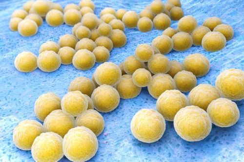 Kháng sinh tự nhiên trong cơ thể