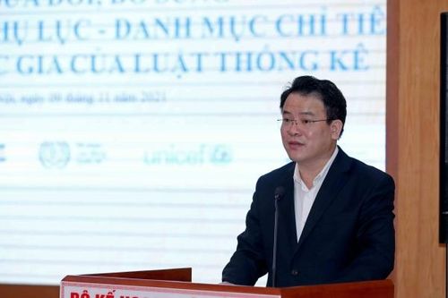 Bộ Kế hoạch - Đầu tư công bố việc điều chỉnh, sửa đổi Luật Thống kê