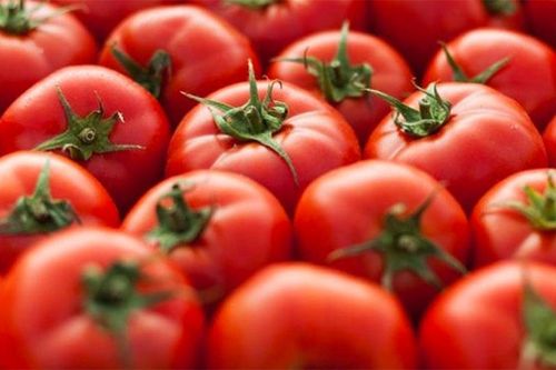 Loại cà chua mới 500 ngàn/kg, ăn vào giảm huyết áp