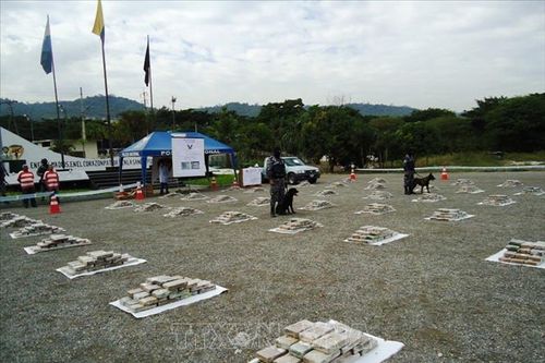 Hải quân Ecuador thu giữ khoảng một tấn cocaine