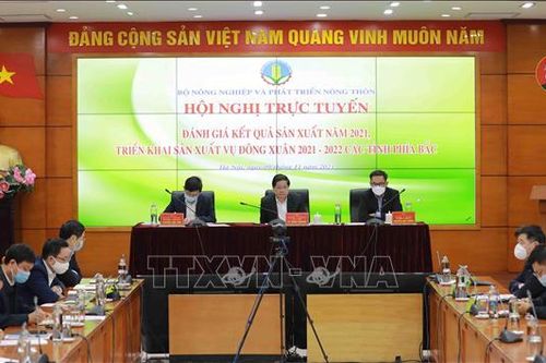 Các tỉnh phía Bắc phòng chống rét, thiếu nước trong vụ Đông Xuân 2021-2022