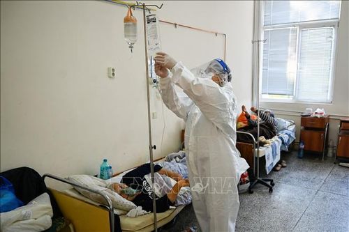 Bulgaria, Ukraine ghi nhận số ca tử vong do COVID-19 theo ngày cao nhất