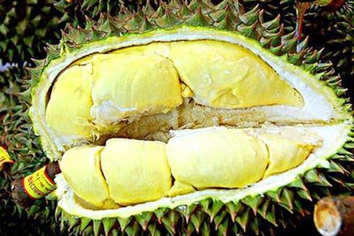 Lợi bất cập hại từ trái sầu riêng