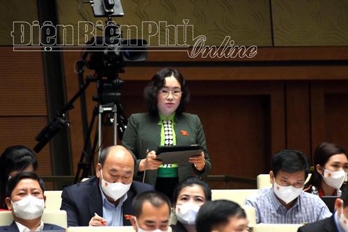 ĐBQH Lò Thị Luyến: Tinh giản biên chế cần nghiên cứu, xem xét tới các yếu tố vùng miền