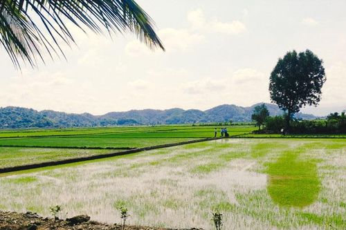 Đạ Tẻh với mục tiêu huyện nông thôn mới kiểu mẫu