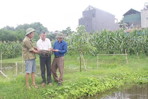 Đồng bào công giáo Yên Lập chung sức xây dựng quê hương