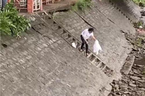 Dân mạng nổi giận với người phụ nữ phóng sinh mà như sát sinh