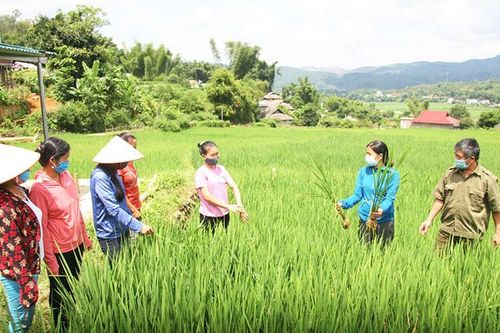 Bài toán việc làm ở các tỉnh miền núi