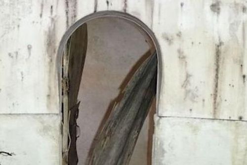 Trung Quốc: Mua căn nhà nhỏ may mắn được thêm căn hầm trú ẩn dưới lòng đất