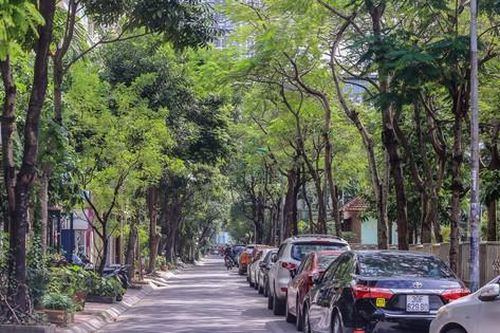 Cận cảnh hai con phố sắp mang tên vợ chồng cố nghệ sĩ Xuân Quỳnh - Lưu Quang Vũ
