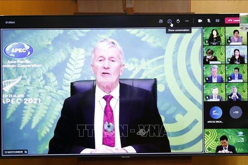 Tự do thương mại và mở cửa nền kinh tế tạo đà cho phục hồi kinh tế hậu COVID-19
