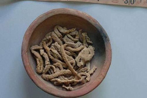 Phát hiện 'cao lương mỹ vị' trong mộ cổ, chuyên gia hét lên: Không ai được tiến vào!