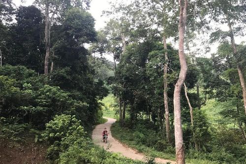 Lào Cai: 5 địa phương được thụ hưởng Dự án 'Quản lý rừng bền vững và bảo tồn da dạng sinh học'
