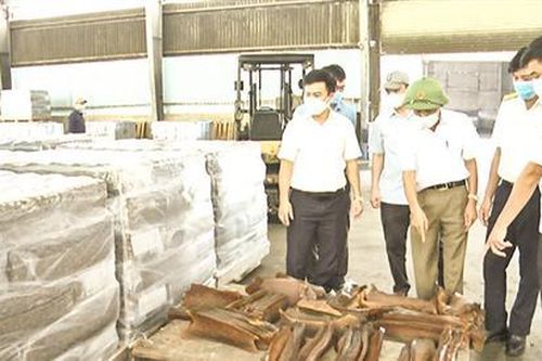 Đẩy mạnh ứng dụng khoa học công nghệ vào các lĩnh vực ở Vĩnh Linh