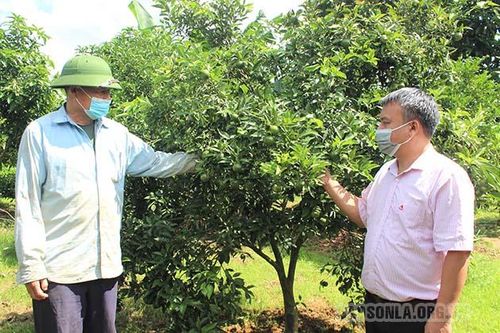 Thêm nguồn vốn giúp người dân giảm nghèo