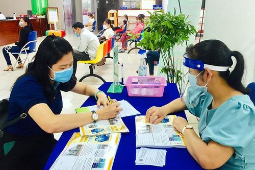 Khôi phục sản xuất vùng nam sông Hậu