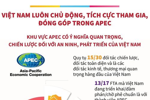 Việt Nam luôn chủ động, tích cực tham gia, đóng góp trong APEC