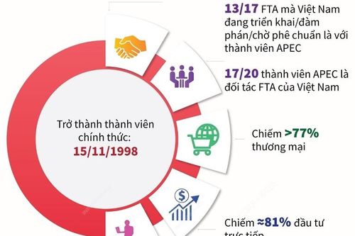 Việt Nam luôn chủ động, tích cực tham gia, đóng góp trong APEC