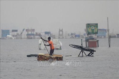 Mưa lớn cướp đi sinh mạng của hàng chục người tại Ấn Độ và Sri Lanka
