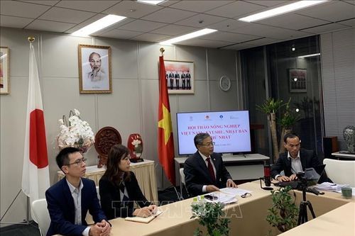 Việt Nam và khu vực Kyushu (Nhật Bản) tăng cường hợp tác nông nghiệp