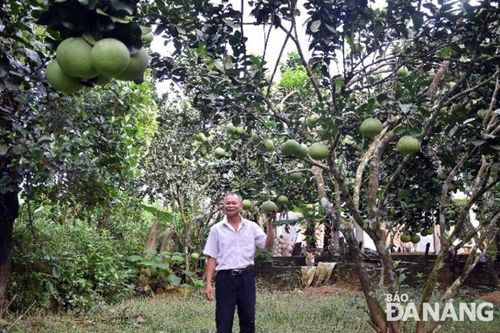 Cấp giấy chứng nhận sở hữu trí tuệ cho 5 sản phẩm trên địa bàn huyện Hòa Vang