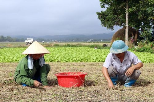 Huy động tối đa nguồn lực để giảm nghèo