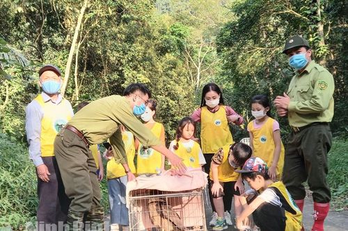 Vườn quốc gia Cúc Phương đẩy nhanh tiến độ 'Danh lục Xanh'