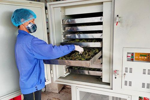 Hiệu quả từ chính sách hỗ trợ cơ giới hóa cho các hợp tác xã