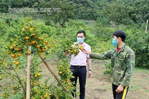 Hỗ trợ các HTX ứng dụng KHKT vào sản xuất