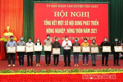 Xây dựng thương hiệu các sản phẩm nông nghiệp hướng tới xuất khẩu